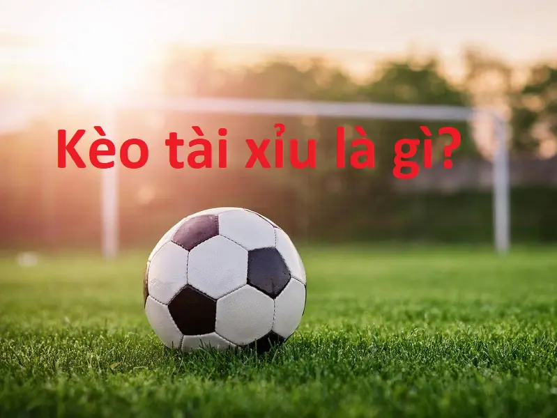 Giải mã chiến thuật chơi kèo tài xỉu Win79 cho người mới